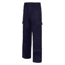 Pantalone Ignifugo e Antistatico - Workteam 